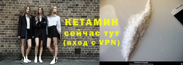 ГАЛЛЮЦИНОГЕННЫЕ ГРИБЫ Богданович