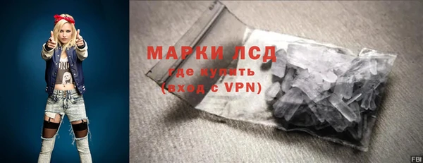 шишки Богородицк
