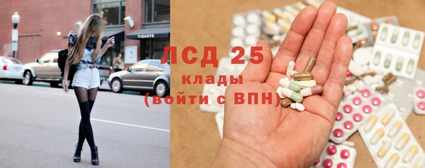 шишки Богородицк