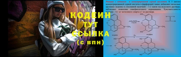 ГАЛЛЮЦИНОГЕННЫЕ ГРИБЫ Богданович
