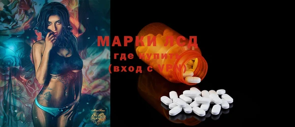 ГАЛЛЮЦИНОГЕННЫЕ ГРИБЫ Богданович