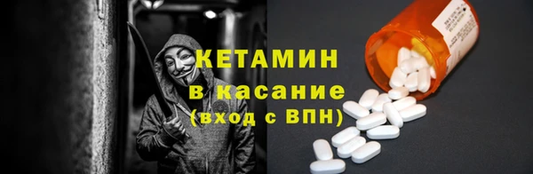 шишки Богородицк