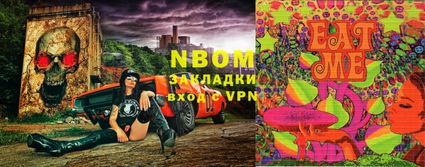 шишки Богородицк
