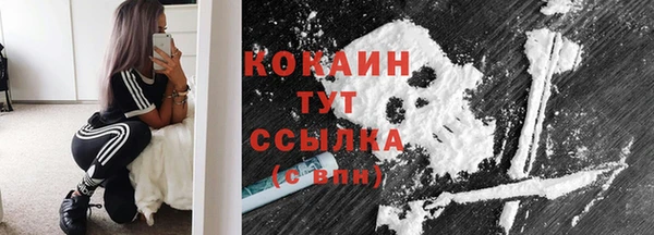 ГАЛЛЮЦИНОГЕННЫЕ ГРИБЫ Богданович
